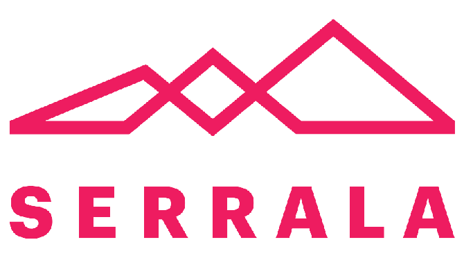 logo of the vendor